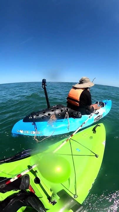 kayak fly anywhere|Iba pa.